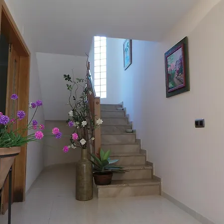Casa Neus Bara Ii * Рода-де-Бара